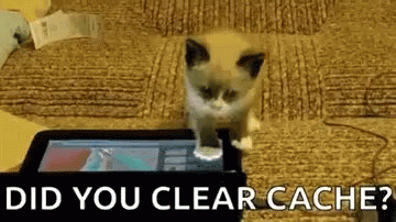 did you clear cache cat gif