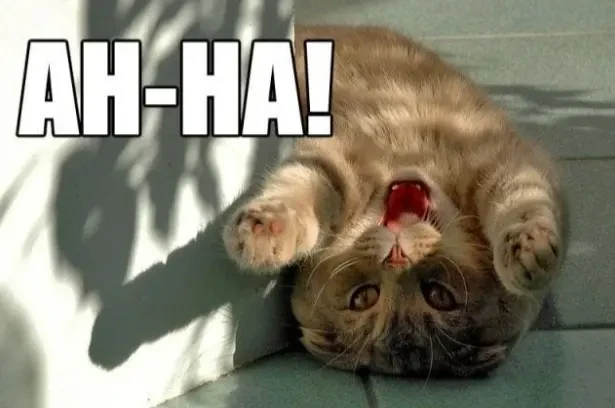 Cat with &quot;AH-HA!&quot; text, playful and surprised, Kraftshala article.